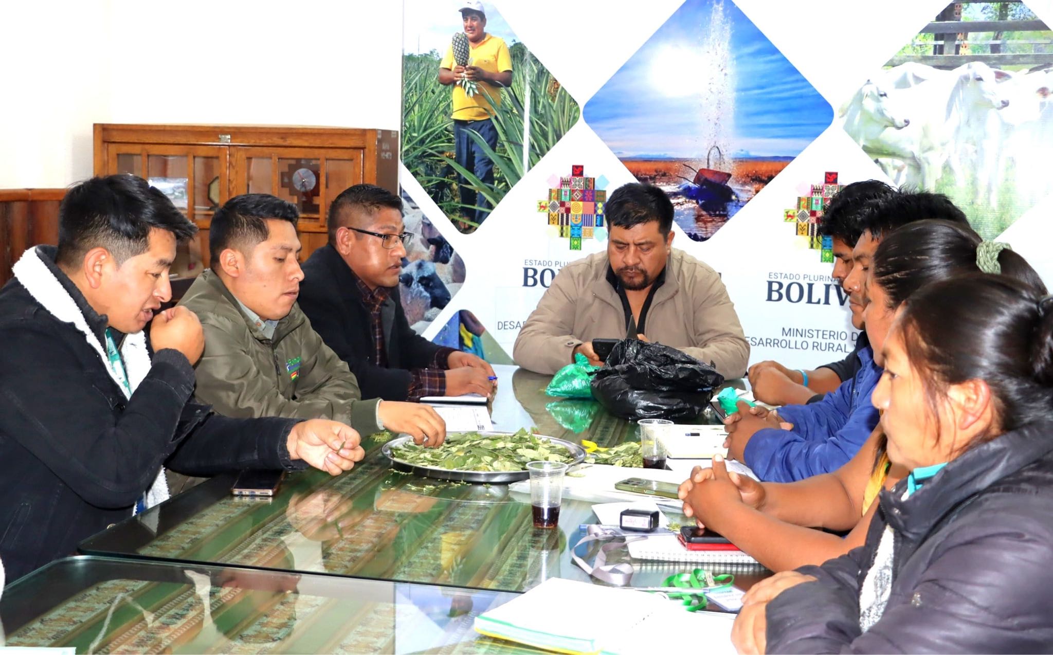 Coordinan desarrollo y ejecución de proyectos para fortalecer el agro en Tarija y Yungas