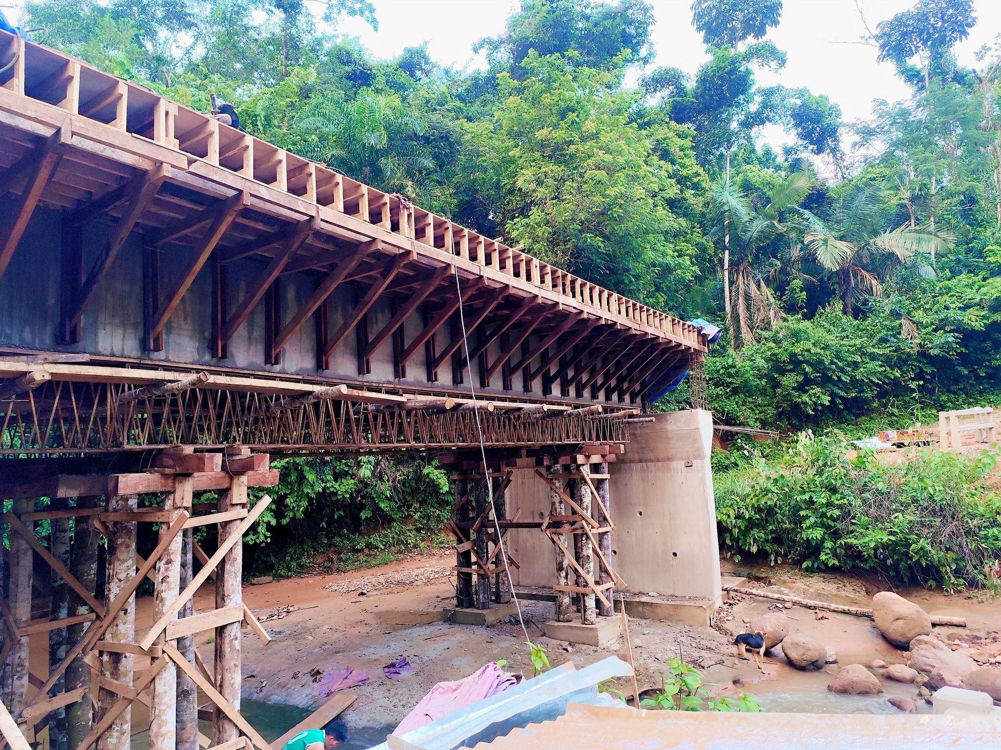 Conclusión del "Puente Camba" en Oro Verde, Alto Beni (La Paz). Foto: GAM Alto Beni