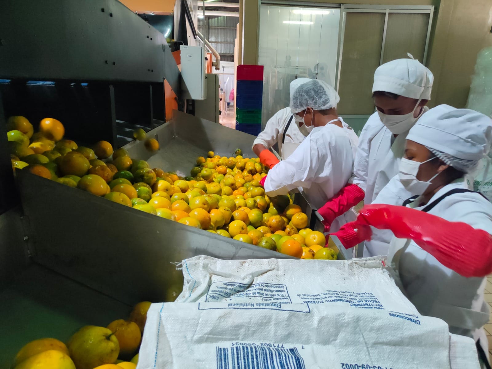 Línea de néctares y pulpas de tres plantas benefician a aproximadamente 1.000 productores