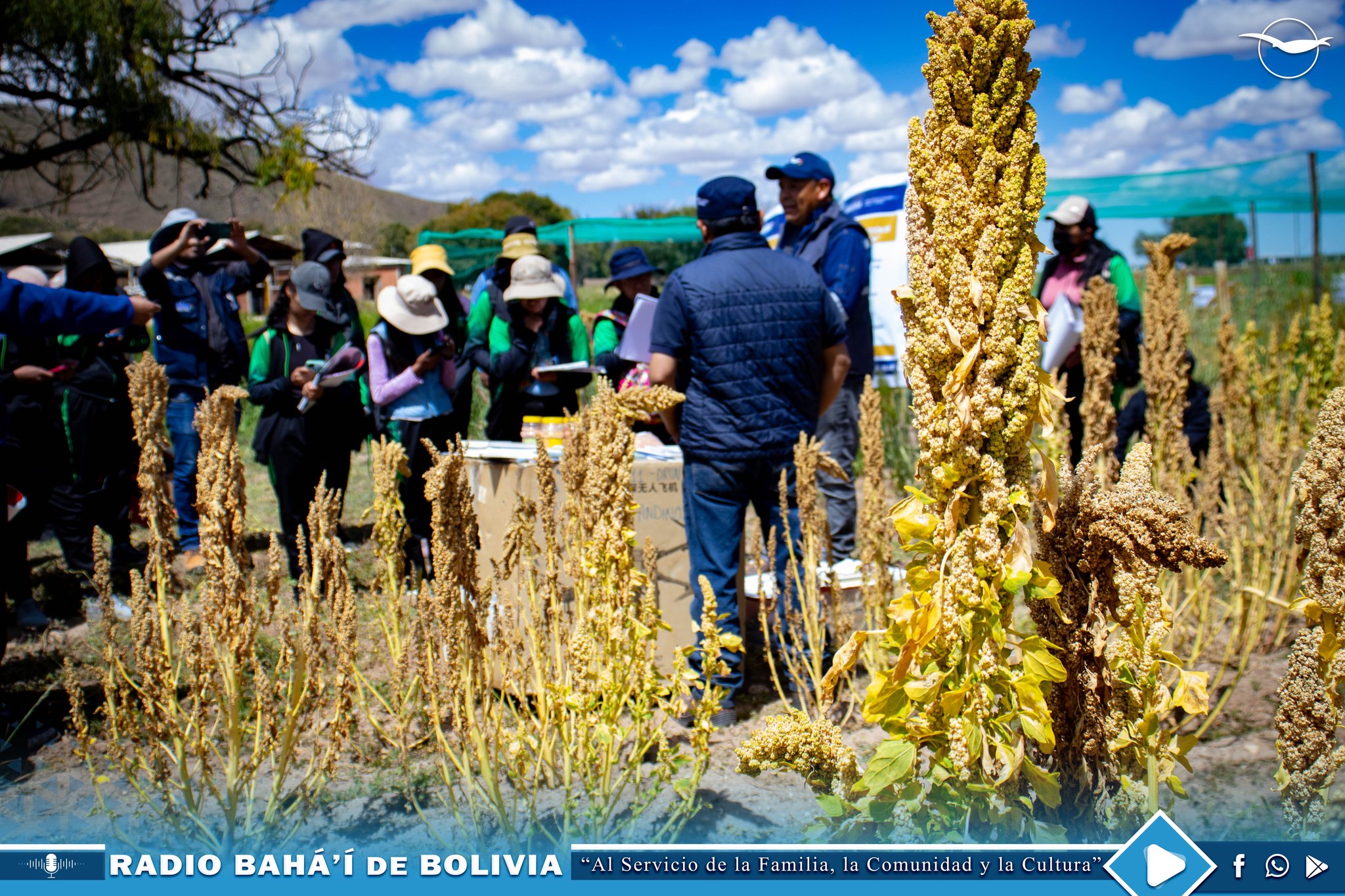 Exposicón de maquinaria agrícola en la 3ra Expoferia Tecnológica e Innovación de Equipos Granos Andinos y Forrajes en Oruro. Foto: Radio Bahá'í