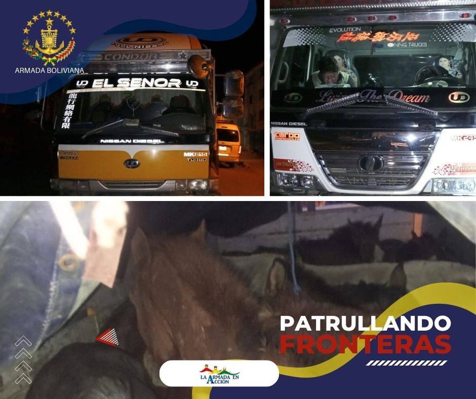 Detectan traslado ilegal de ganado vacuno y equino en 6 camiones en San Pablo de Tiquina