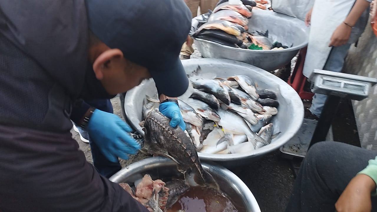 Incautan 180 kilos de pescado en mal estado y balanzas manipuladas en Cochabamba