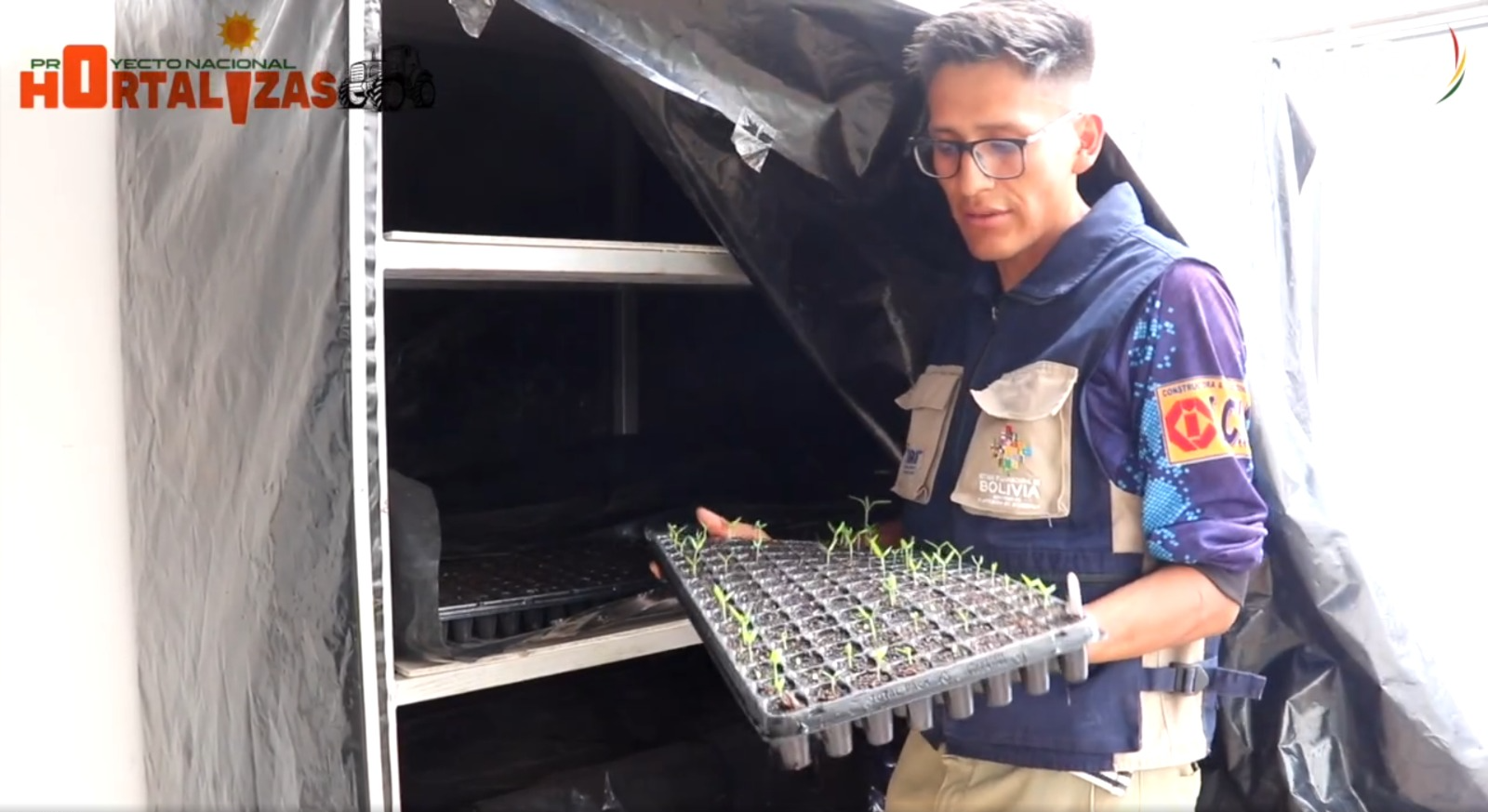 Mejoramiento genético del tomate en Bolivia, realizado por el Proyecto Nacional de Hortalizas. Captura: Iniaf