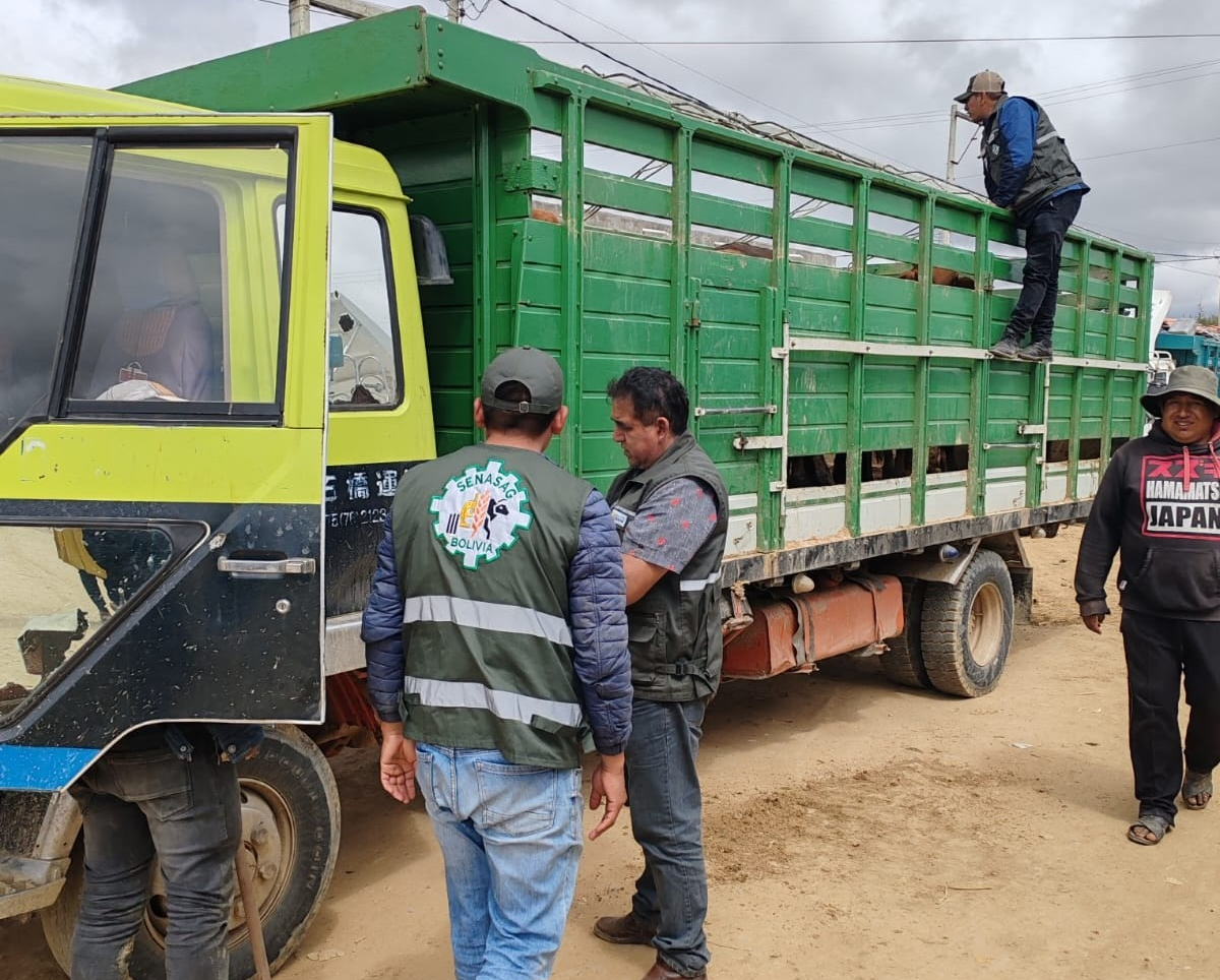 Controles realizados por el Senasag de Chuquisaca al traslado de animales en Lajastambo, Sucre. Foto: Senasag