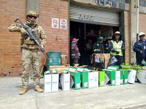 En 10 días incautan al contrabando mercadería por más de Bs 1,2 millones