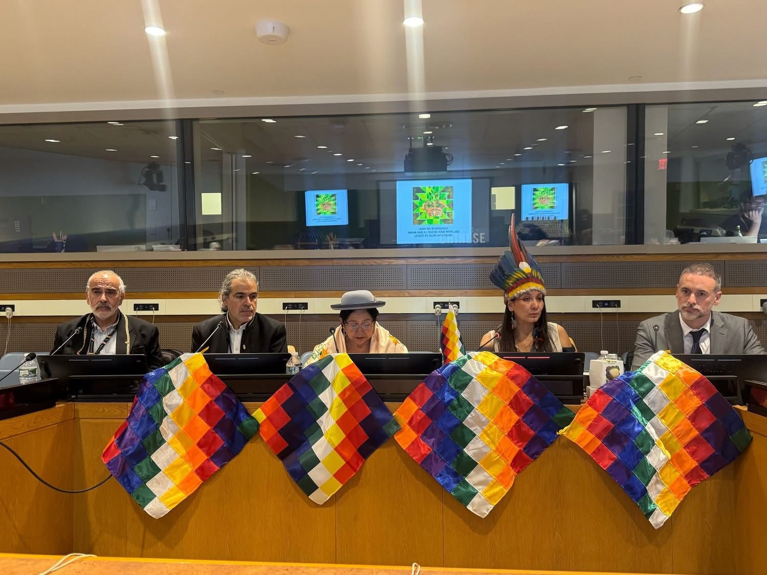 Bolivia impulsa la desestigmatización de la hoja de coca en la ONU