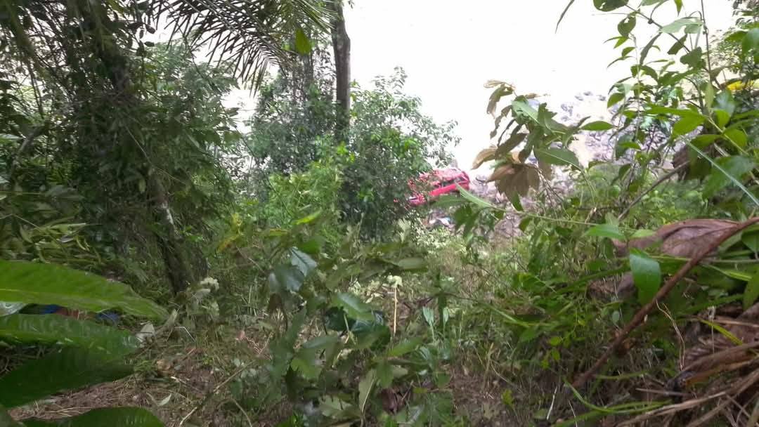 Minibus que se embarrancó más de 200 metros en la carretera La Paz - Caranavi. Foto: Red Amancer