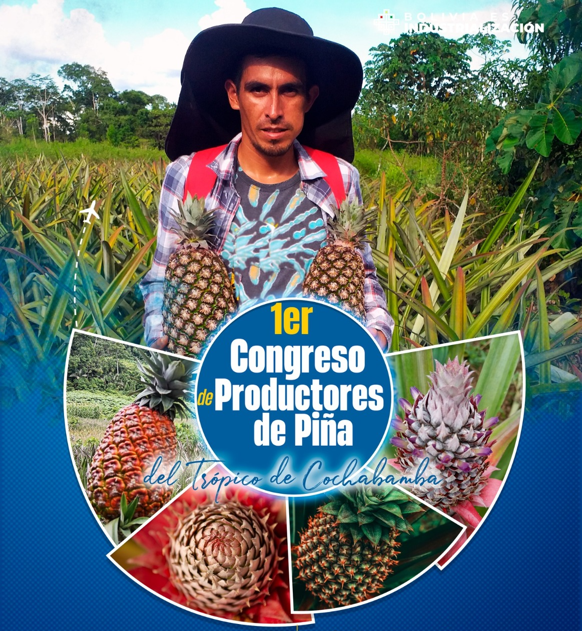 Afiche de convocatoria el Congreso de Productores de Piña del Trópico de Cochabamba. Foto: Fonadin