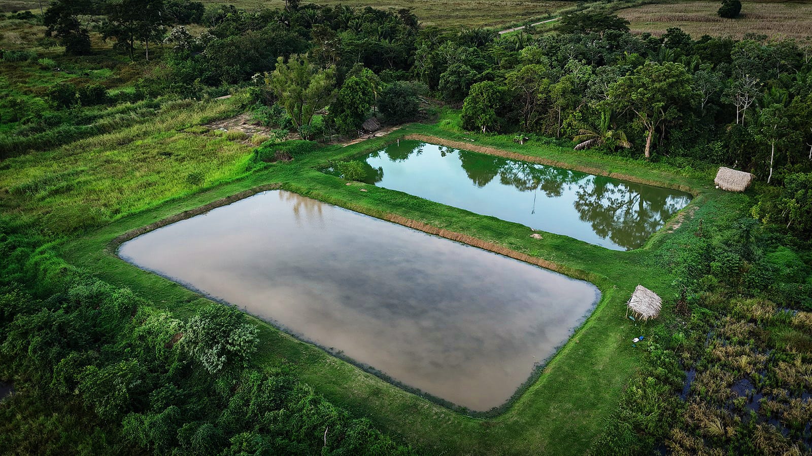 En la cruceña Santa Rosa del Sara entregan 37 pozas de producción piscícola