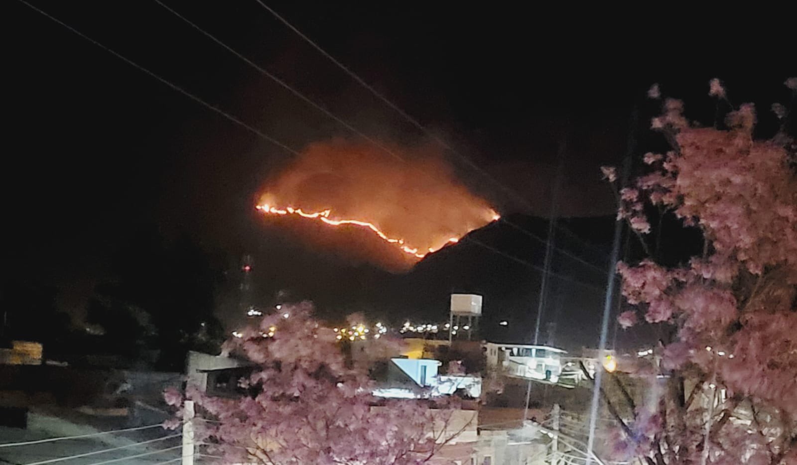 Incendio en Tarija se expande hacia la Serranía de Sama, autoridades y bomberos trabajan para extinguirlo 