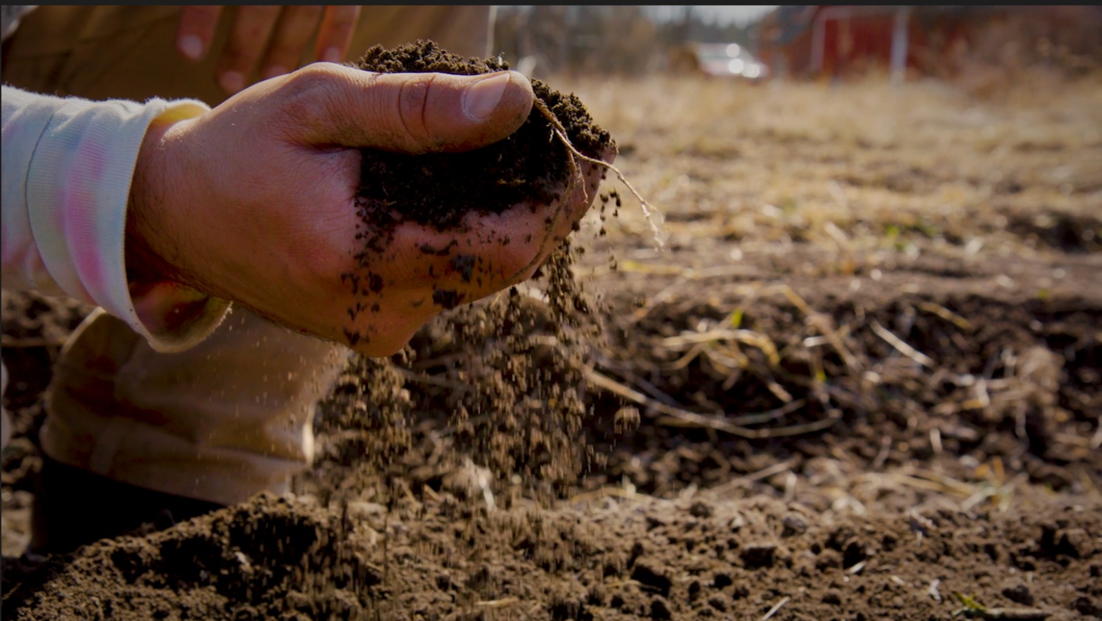 BDP-SAM celebra el Bicentenario impulsando un modelo de desarrollo productivo y sostenible para Bolivia