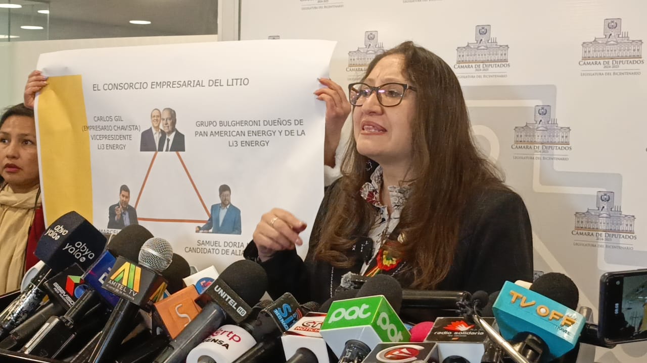Denuncian conformación de consorcio entre Doria Medina, Claure, Bulgheroni y Gil para explotar el litio