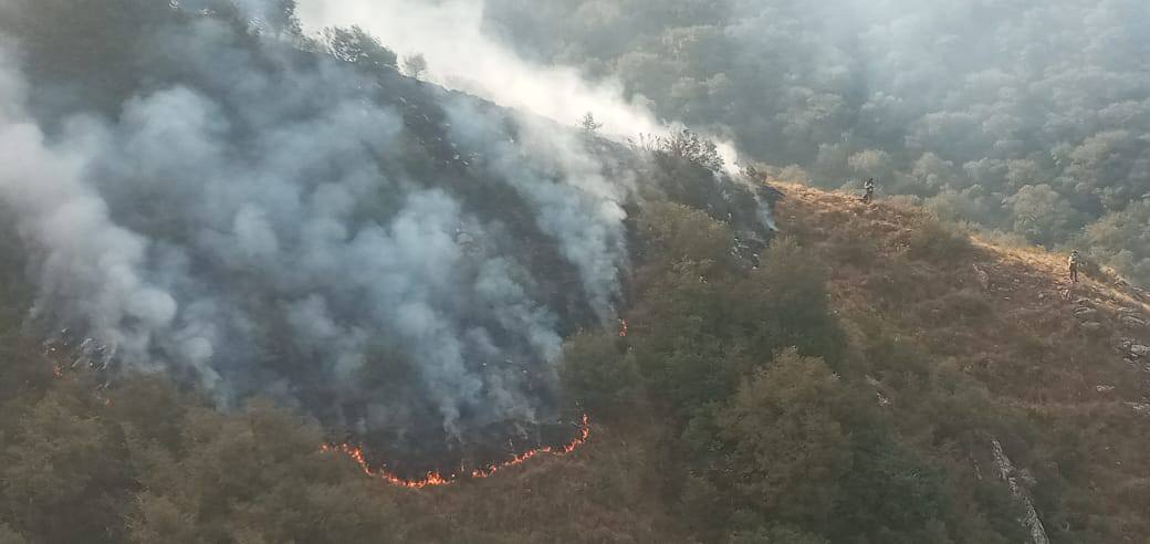 Incendio en la serranía de Sama afectó 8.300 hectáreas de la Reserva Biológica de la Cordillera en Tarija