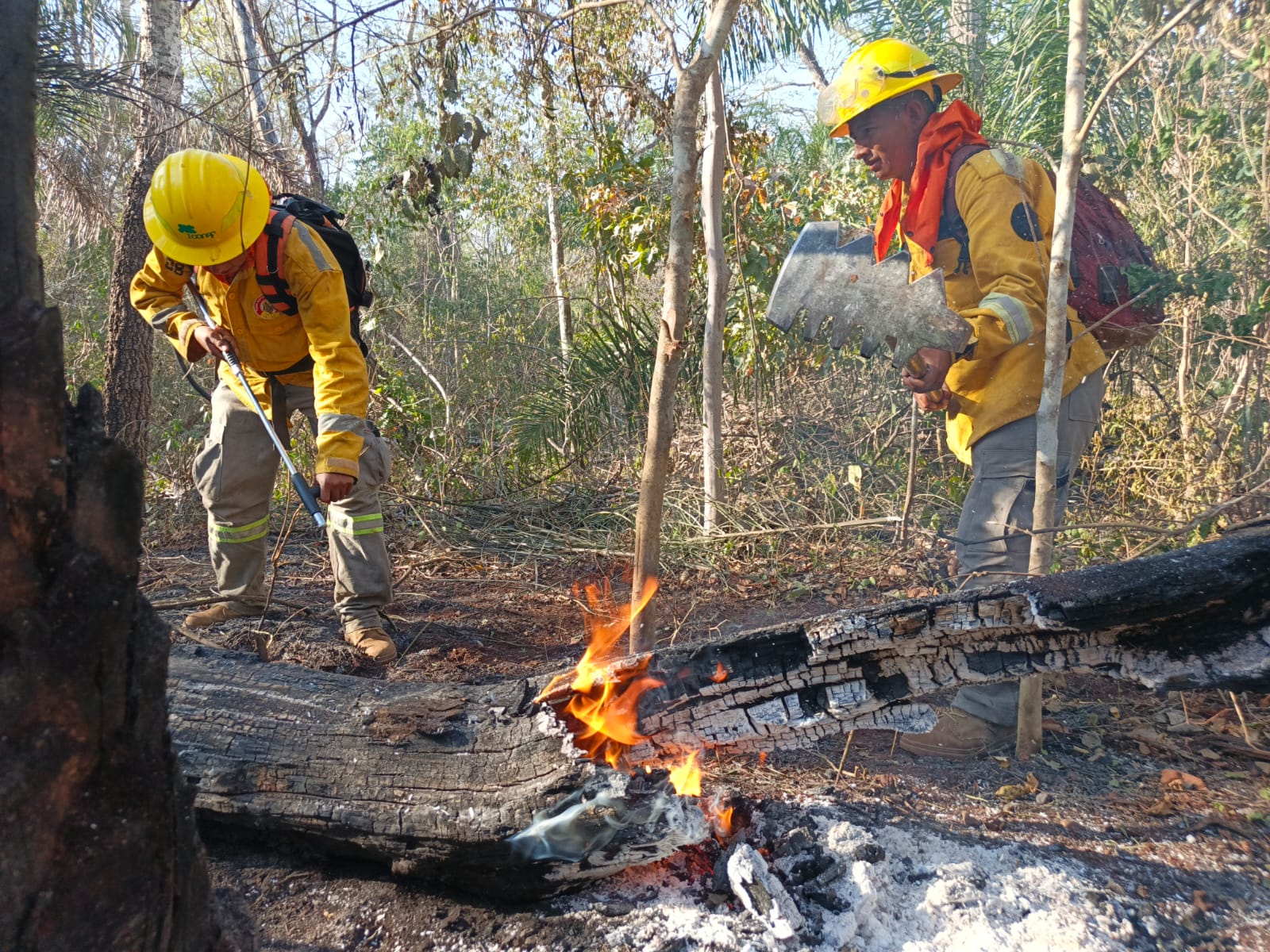 Sofocan incendio forestal en comunidad cruceña Palmarito con apoyo de comunarios y bomberos