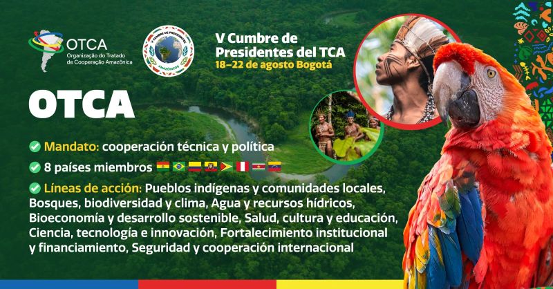 Bolivia participa de la Cumbre de la OTCA que busca fortalecer la protección de la Amazonía