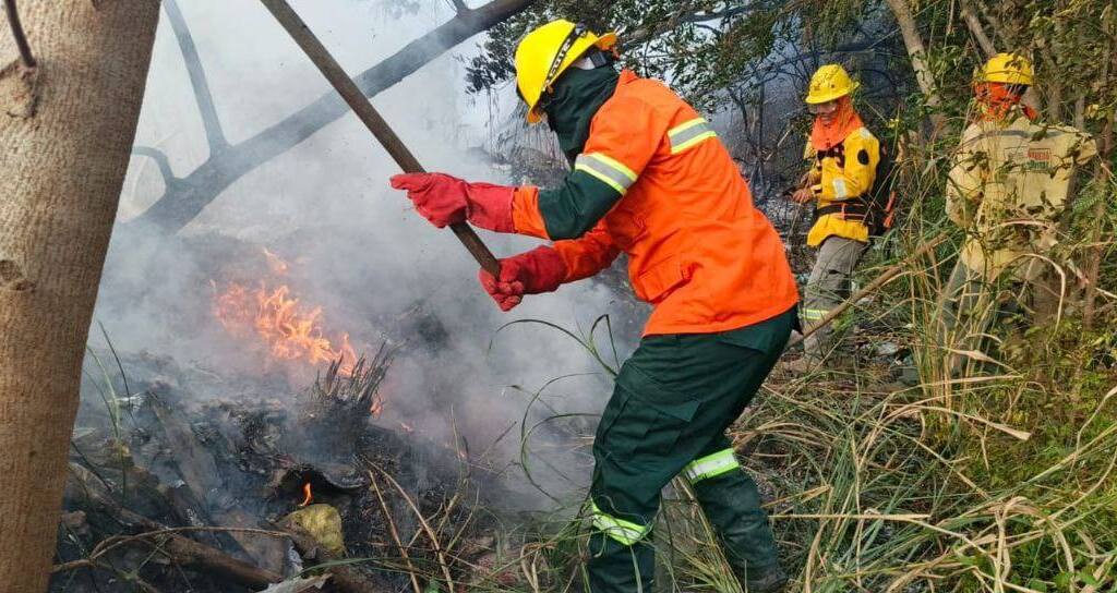 Protocolo de investigación listo para aprobarse y aplicarse contra responsables de incendios forestales