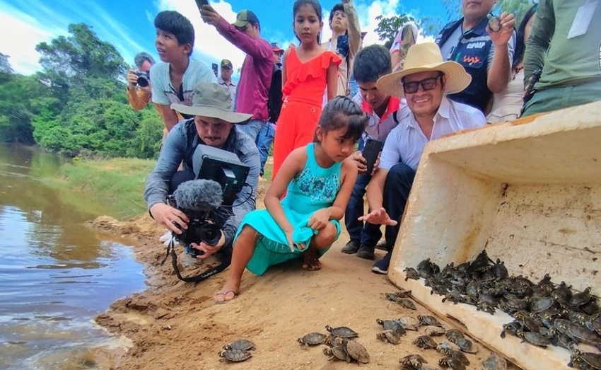 Liberan más de 2.800 tortugas a su hábitat natural para su repoblamiento y conservación en la Reserva Manuripi