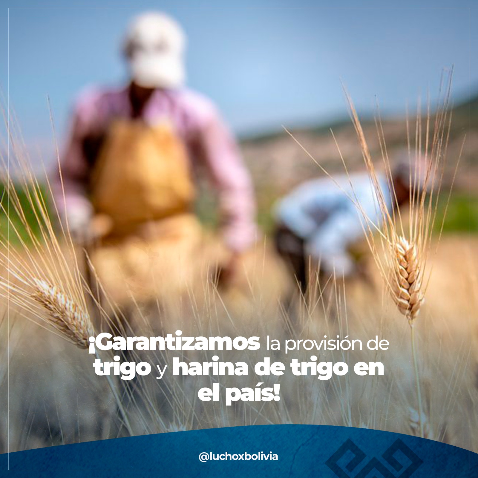 Gravamen arancelario para importación de trigo y harina al 0% se amplía hasta el 31 de agosto