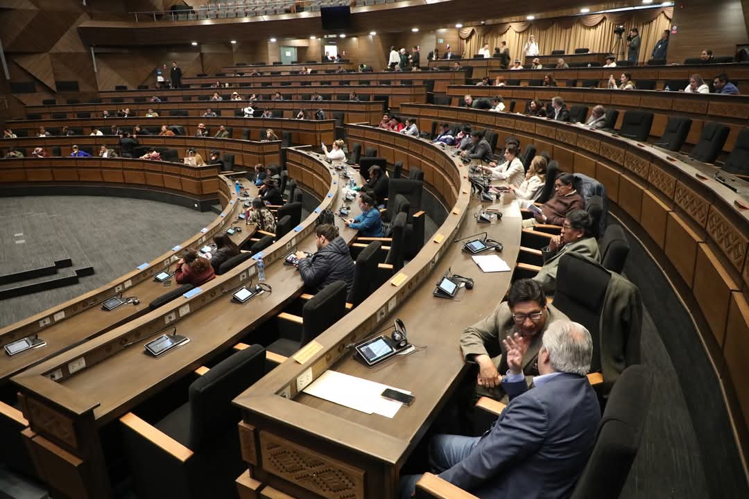 Senado encara semana para sancionar ley de escaños que se debe promulgar hasta el miércoles