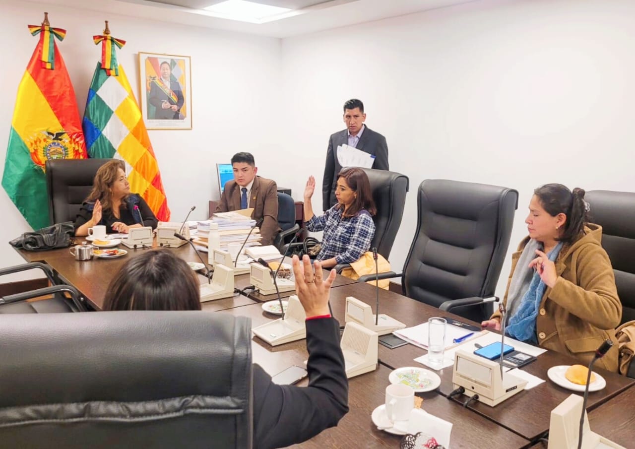 Segunda sesión de la Comisión de DDHH. Foto: Cámara de Diputados