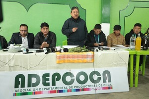 Choquehuanca asegura que la industrialización de la coca puede generar ingresos superiores a los del gas