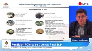 Desde el Complejo del Mutún hasta industrias frutícolas, Gobierno perfila entrega de paquete de plantas este 2025