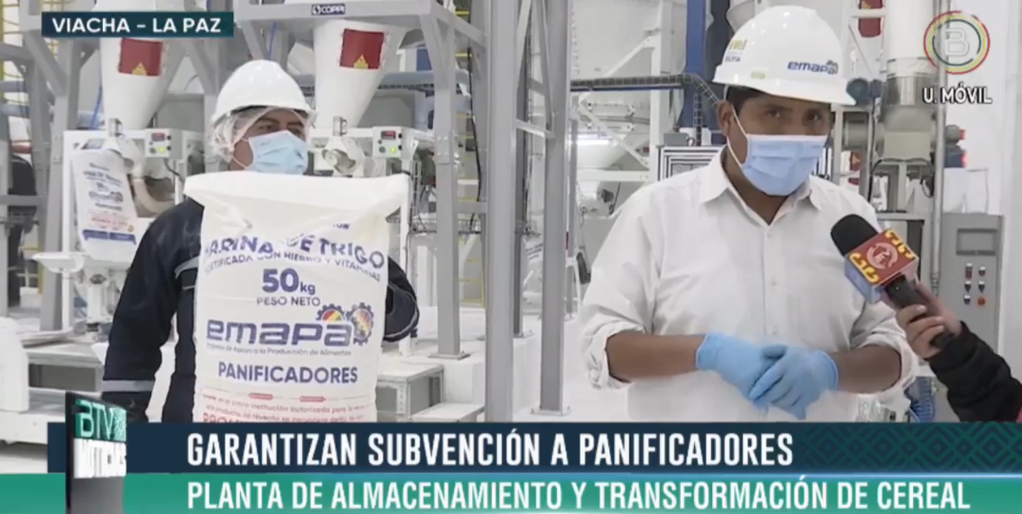 Planta industrial de trigo de Viacha entregará harina subvencionada a panificadores para garantiza el pan en Bs 0,50 