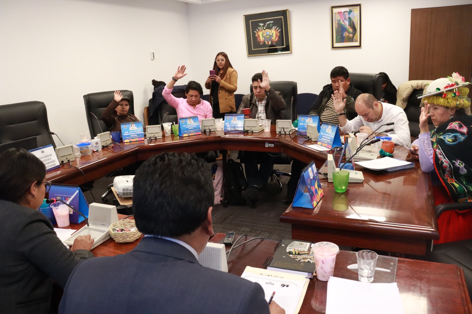 Comisión de Diputados aprueba ley para recuperar de autores directos más de $us 3 millones pagados por orden de la Corte-IDH