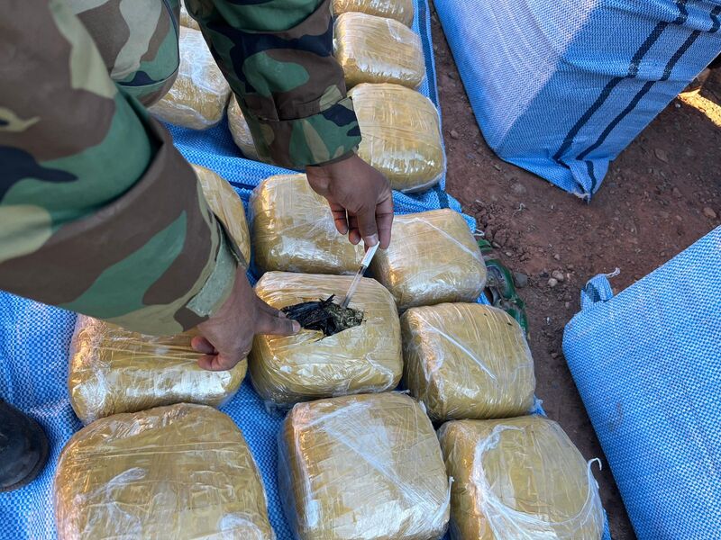 Aprehenden a dos personas y secuestran más de 119 kilos de marihuana en Cochabamba y Potosí
