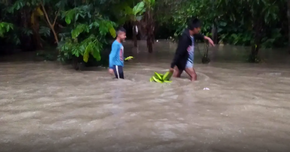 Baja el agua que inundó viviendas y activan tareas de limpieza en Zongo Tropical en La Paz