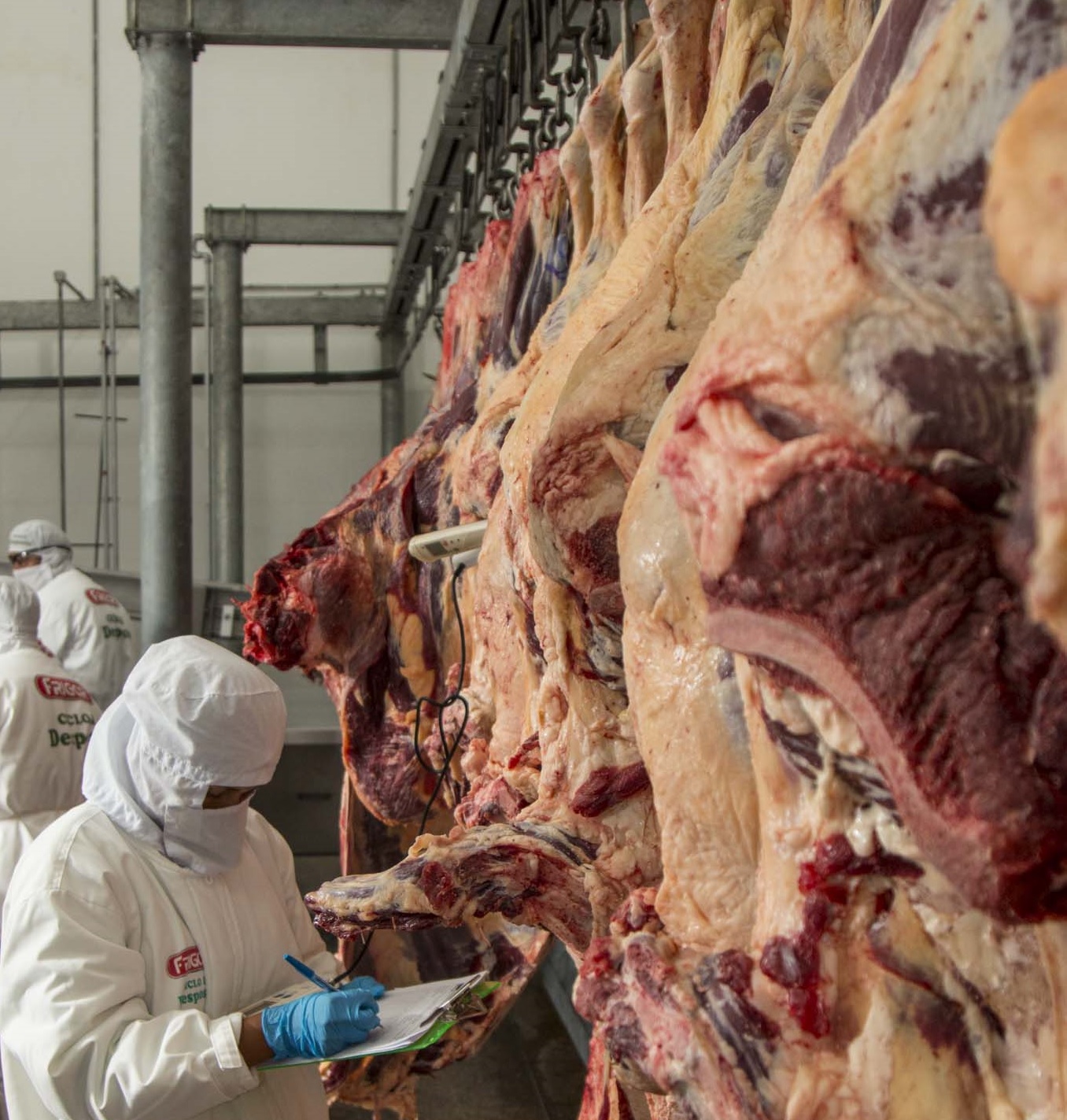 Gobierno mantendrá suspensión indefinida en la otorgación de certificados para la exportación de carne de res