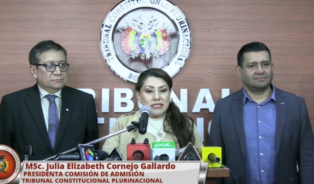 TCP deja temporalmente sin efecto fallo que cesa en sus funciones a la magistrada del TSJ Fanny Coaquira