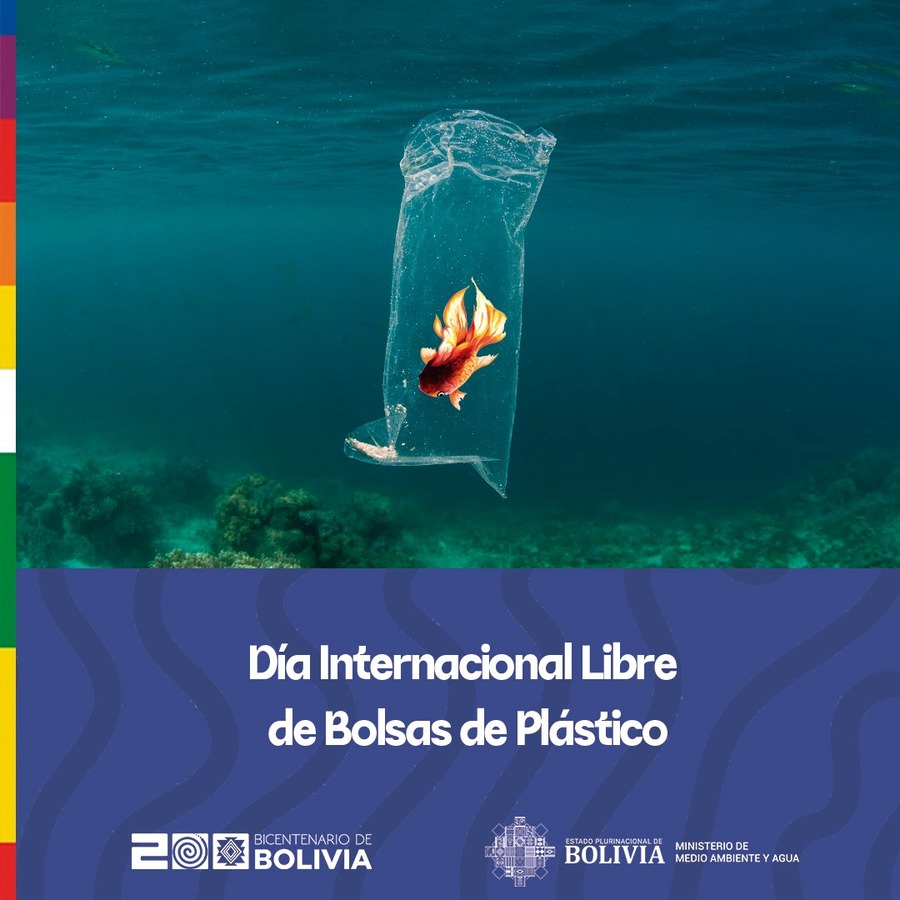 Instan reducir uso de bolsas de plástico para proteger la biodiversidad