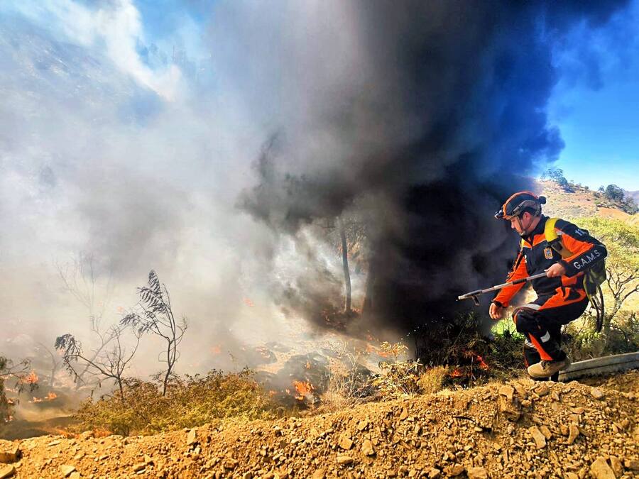 Sofocan incendio provocado por quema de llantas cerca del bosquecillo en Sucre