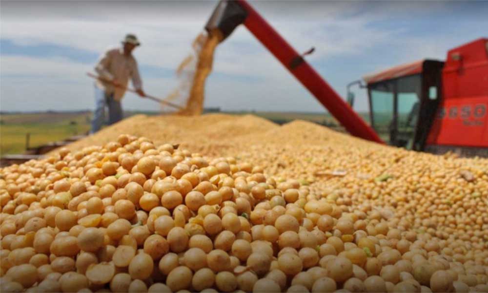 Destacan que exportaciones de derivados de soya, oro y castaña impulsaron el superávit positivo en mayo