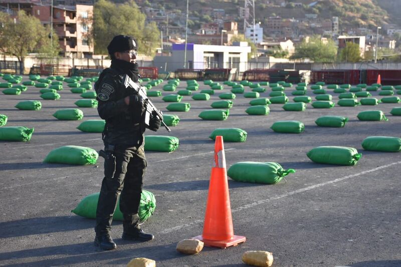Grupo Especial de Control de Coca secuestró más de 3,5 millones de libras de hoja de coca en más de 4 años