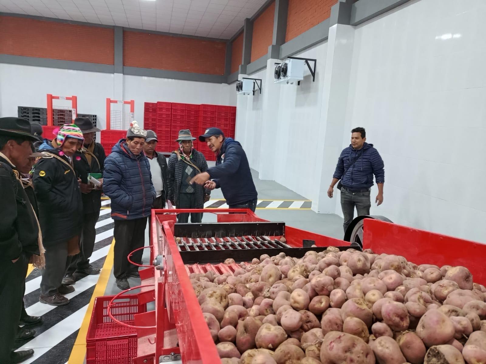 Nuevos silos de Achacachi acopiarán 300 toneladas de semillas de papa y beneficiarán a más de 600 familias