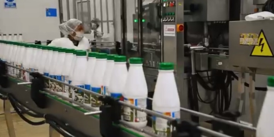 Industria de leche de Achacachi consolida provisión a subsidios y suplemento alimenticio escolar en municipios