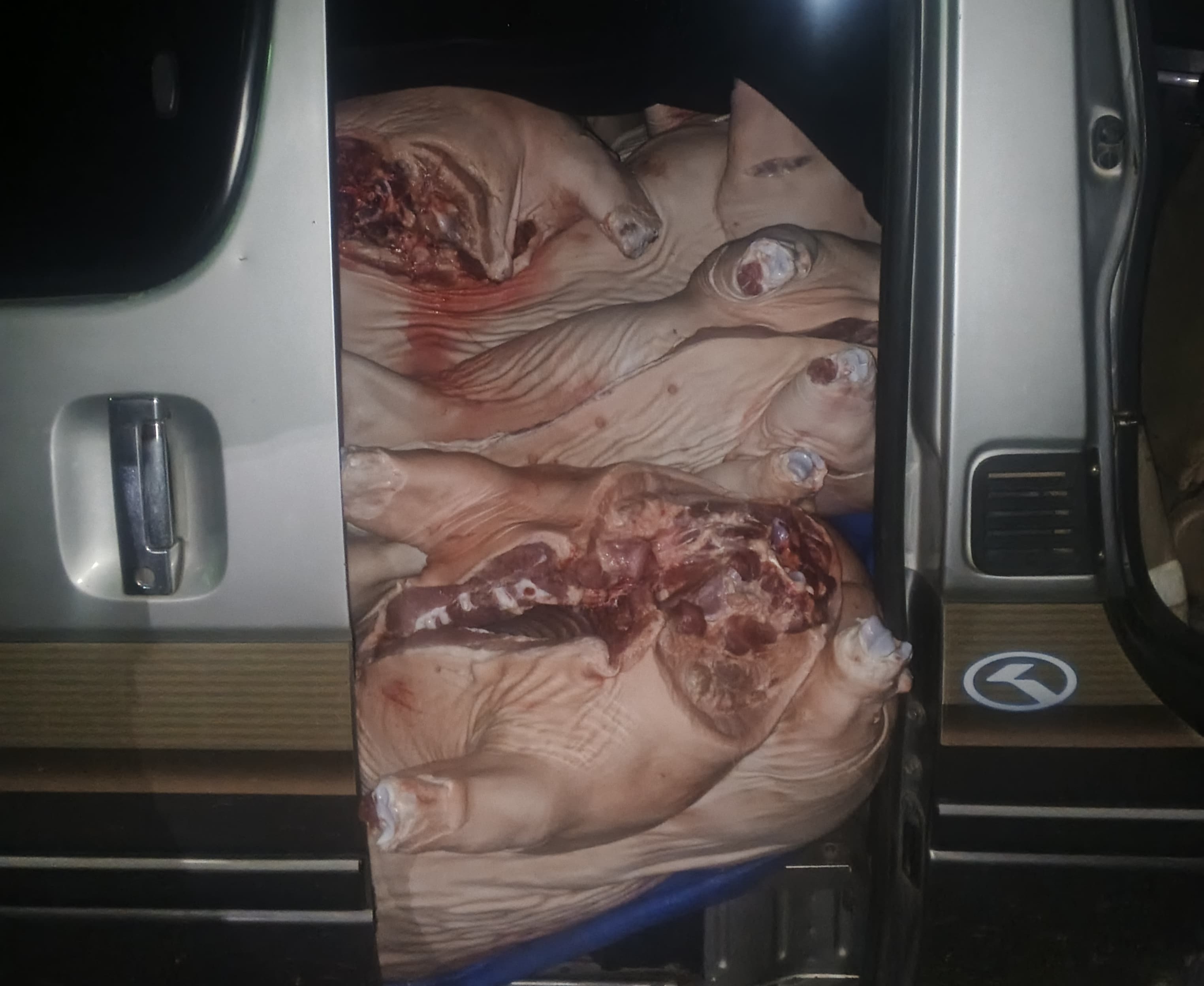 Comisan 4.000 kilos de carne de cerdo de contrabando en La Paz