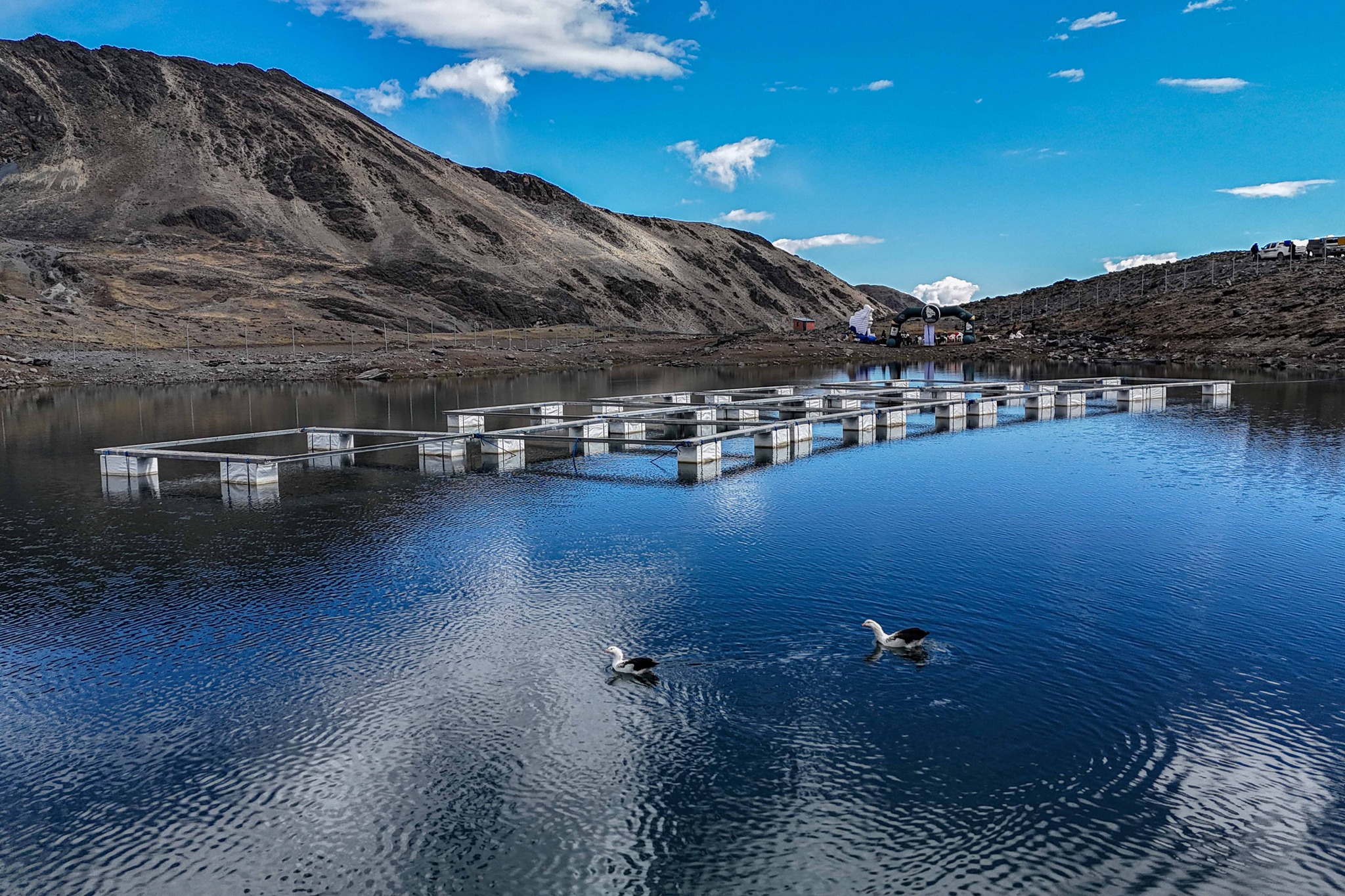 En Tacoma entregan 12 jaulas flotantes para producir más de 14.400 truchas