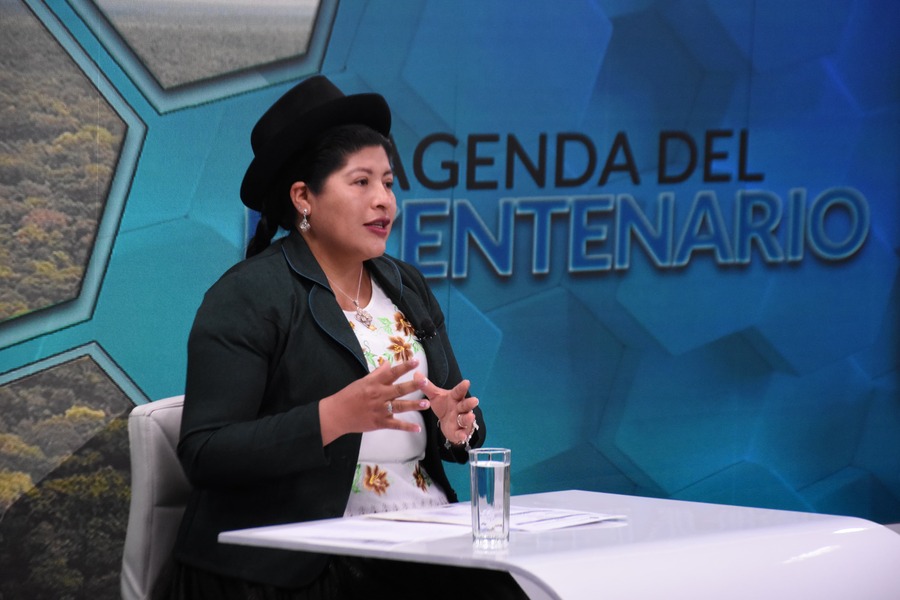 Ministra llama a la unidad y a dejar de lado las diferencias políticas en el Bicentenario