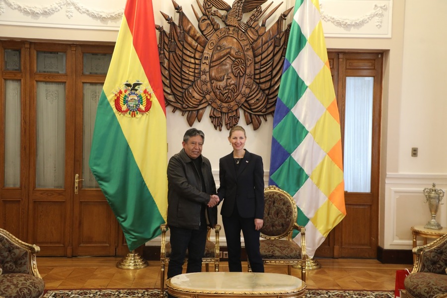 Choquehuanca y embajadora de Suiza tratan el proceso de despenalización de la coca