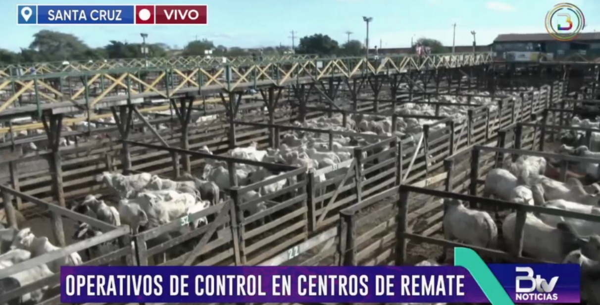 Operativo verifica precio de reses en centros de remate de Santa Cruz