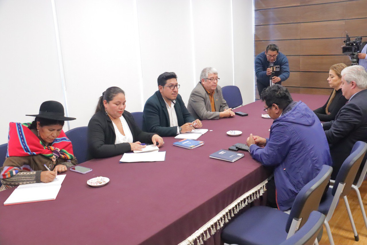 En Diputados MAS, CC y Creemos trazarán agenda mínima de leyes para garantizar elecciones y la economía