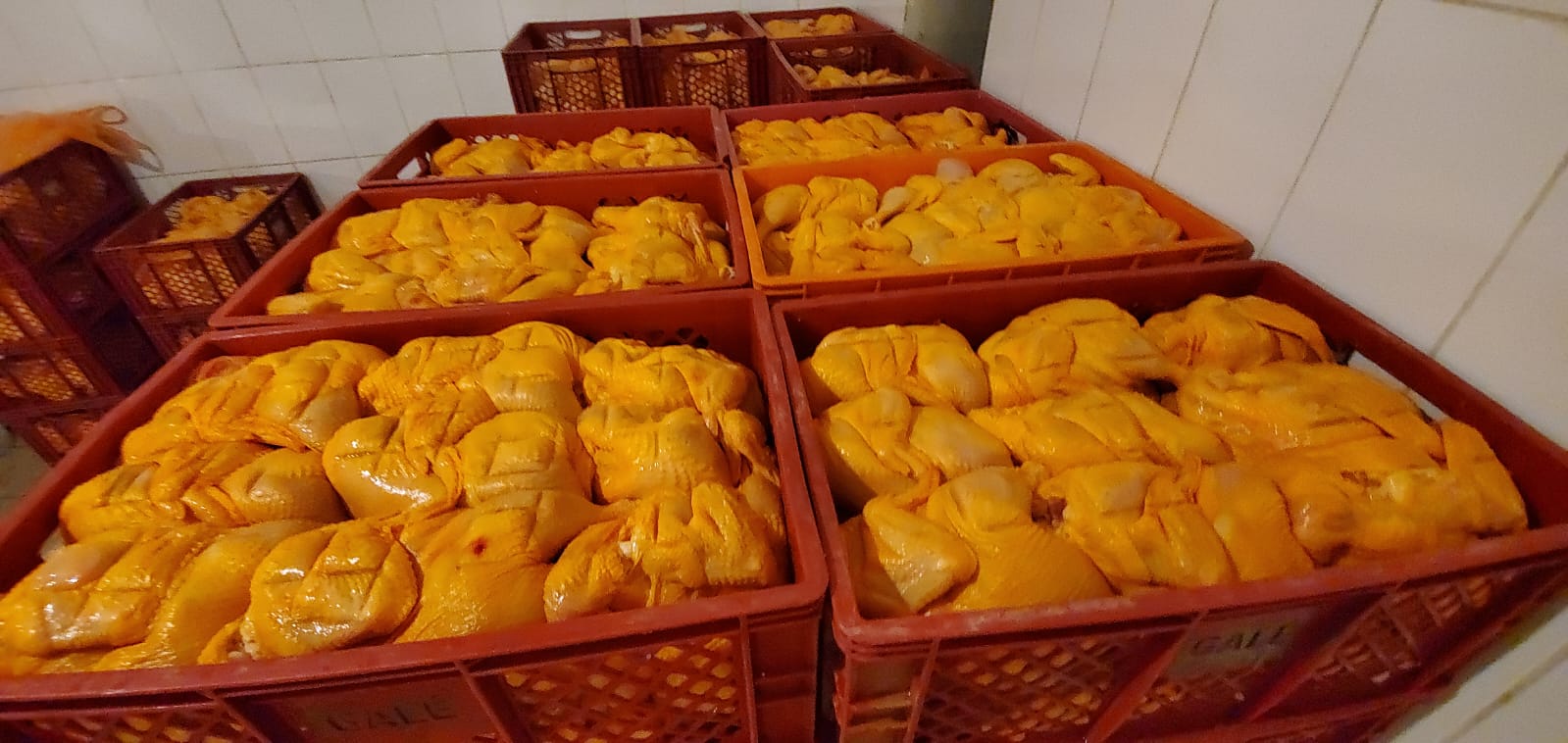 Al menos 40 toneladas de carne de pollo serán enviadas a La Paz este miércoles vía puente aéreo