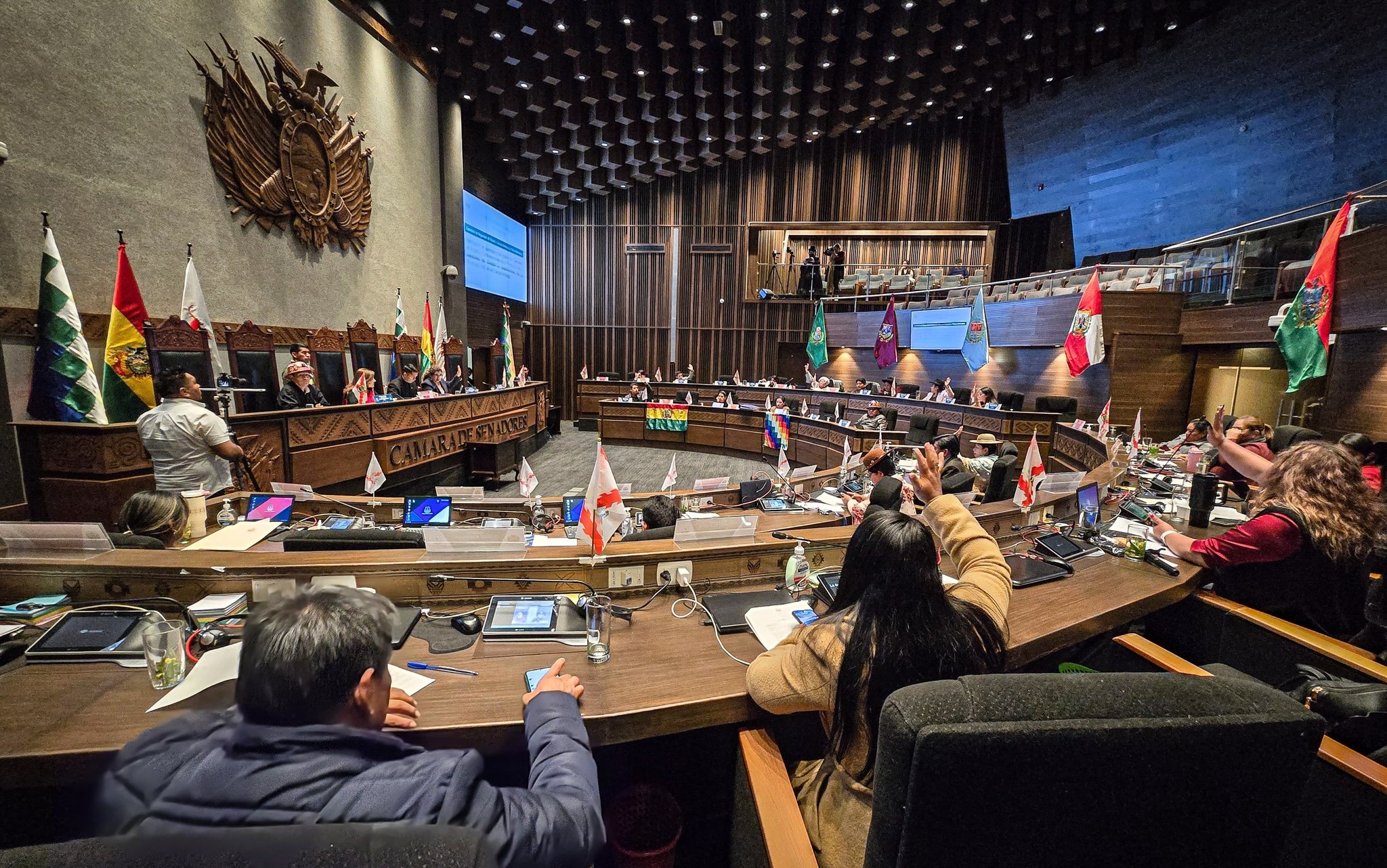 En el MAS convocan a aprobar proyectos productivos para avanzar en la industrialización