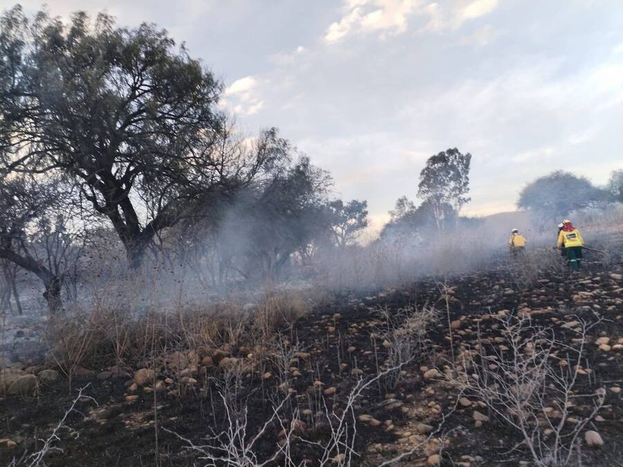 Gobernación de Tarija exige conciencia ambiental tras incendios que destruyeron cultivos y arriesgaron viviendas