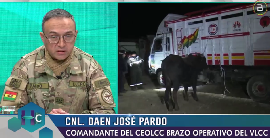 Carnes, huevo, harina, maíz y azúcar son los productos más incautados por el Comando de Lucha Contra el Contrabando