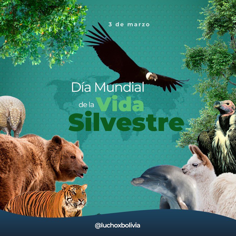 Gobierno reafirma su compromiso de proteger a la vida silvestre 