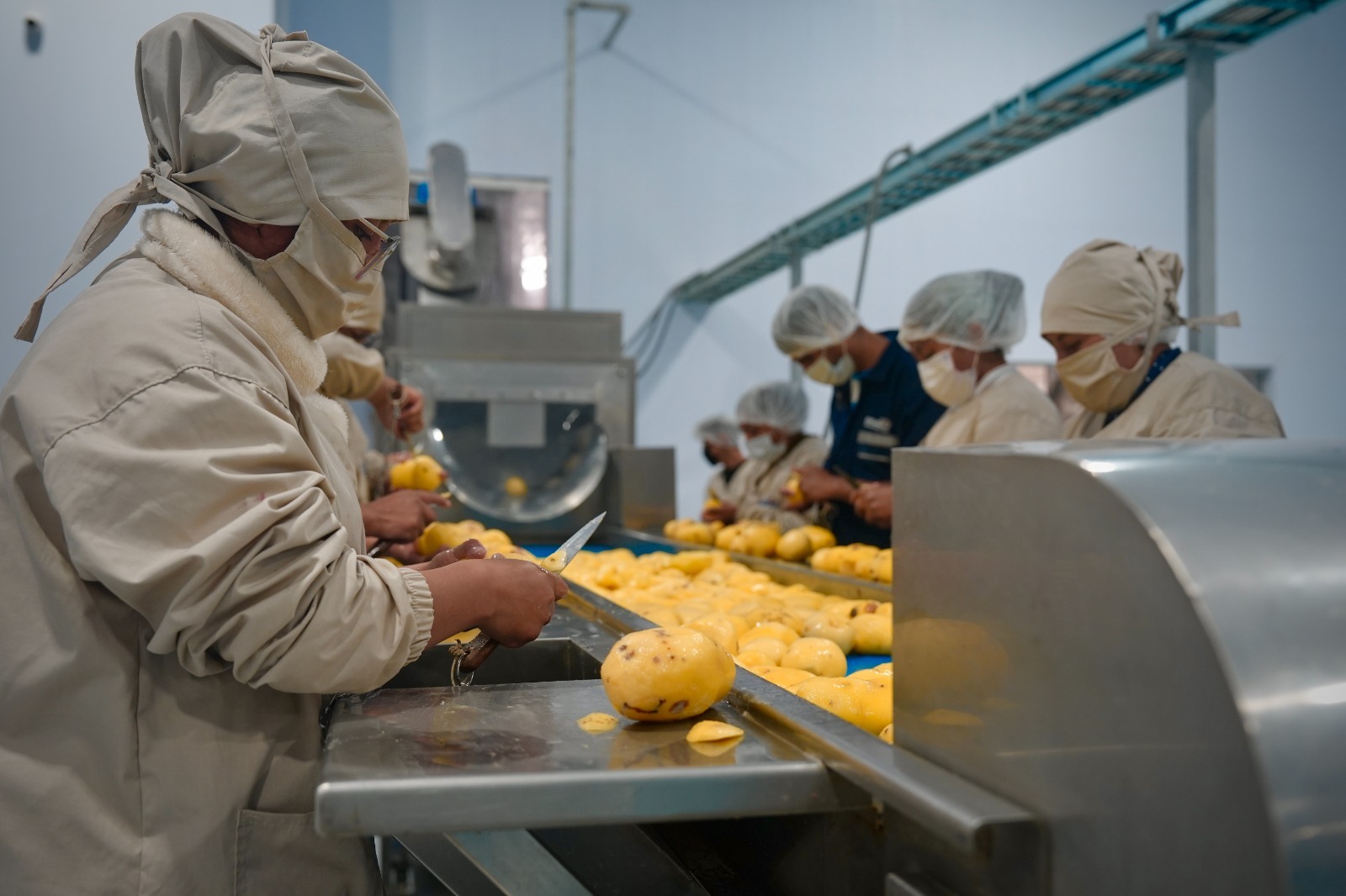 Planta de Procesamiento de Papa de El Alto opera al 100%, procesó 150 toneladas de papa